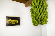 "Friku, Pono, Star" - photograph of tattooed guavas & "Wolfpack", tattooed bananas